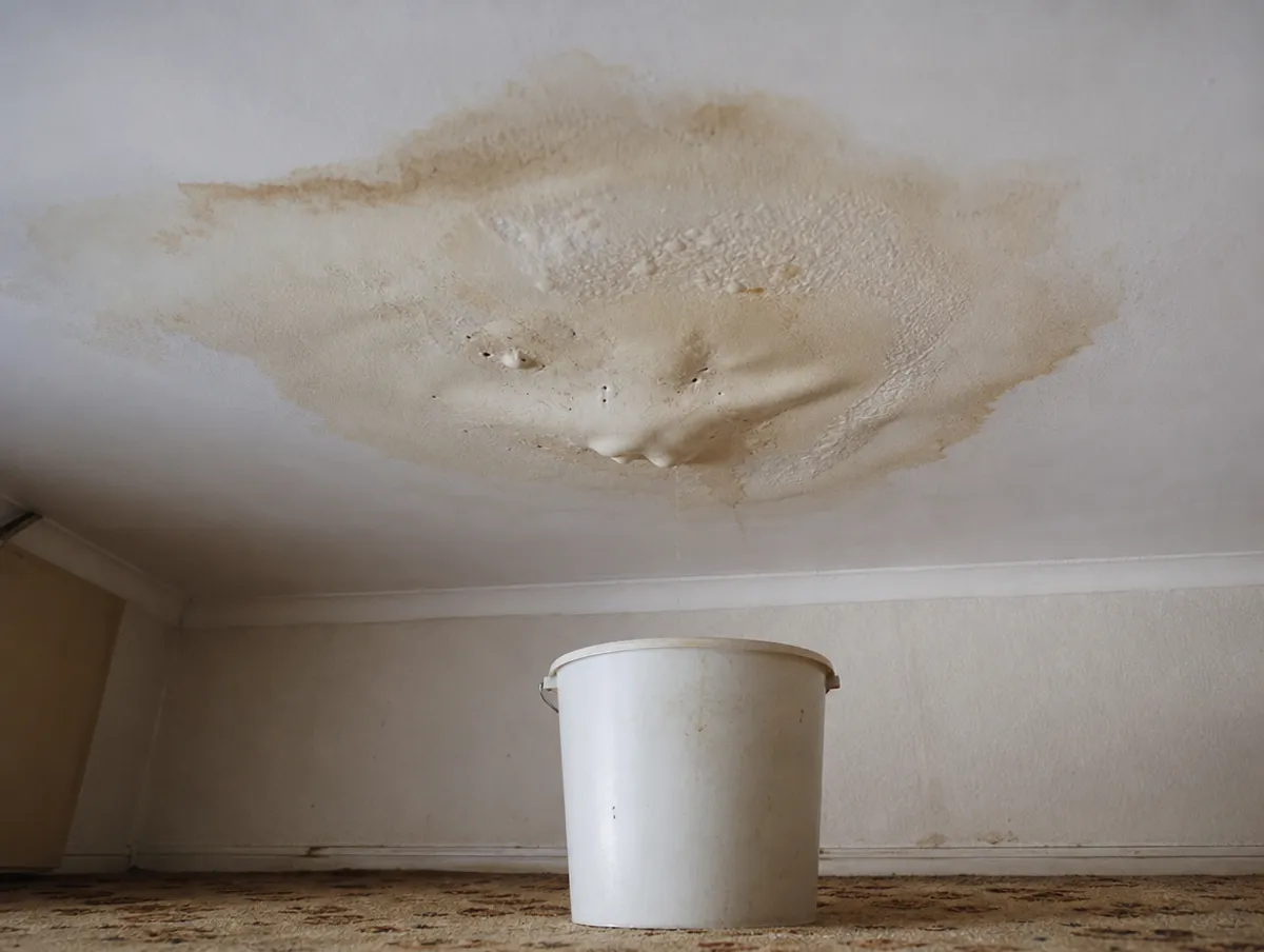 A brown water stain and bubbling paint on a ceiling, with a bucket below
